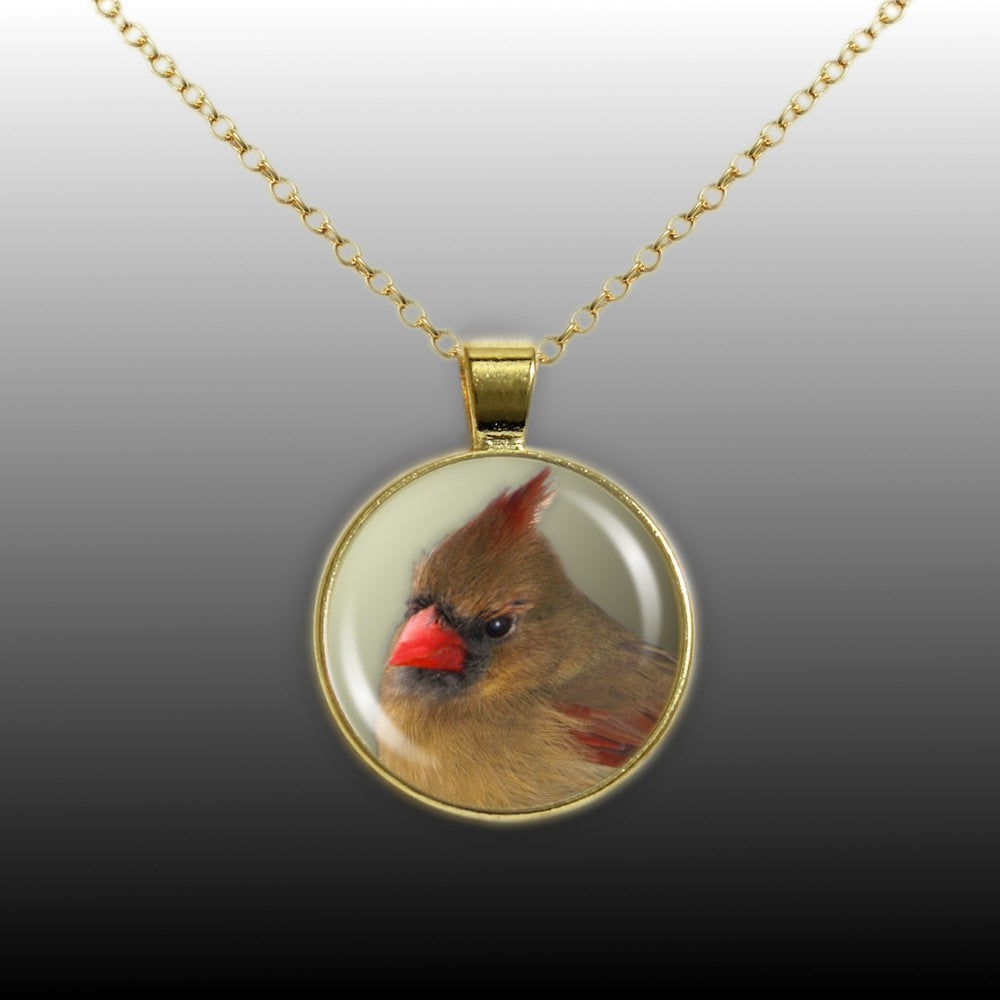 Olive Green Northern Female Cardinal Bird Photo 1" Pendant Necklace in Gold Tone