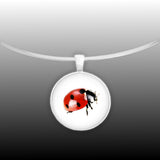 Ladybug Color Pencil Drawing Style 1" Pendant Necklace in Silver Tone